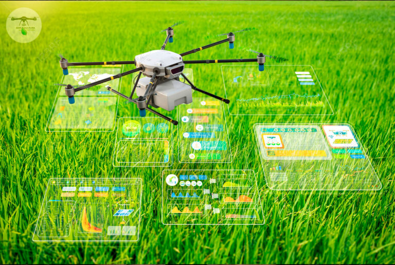 Cómo Implementar la Agricultura de Precisión