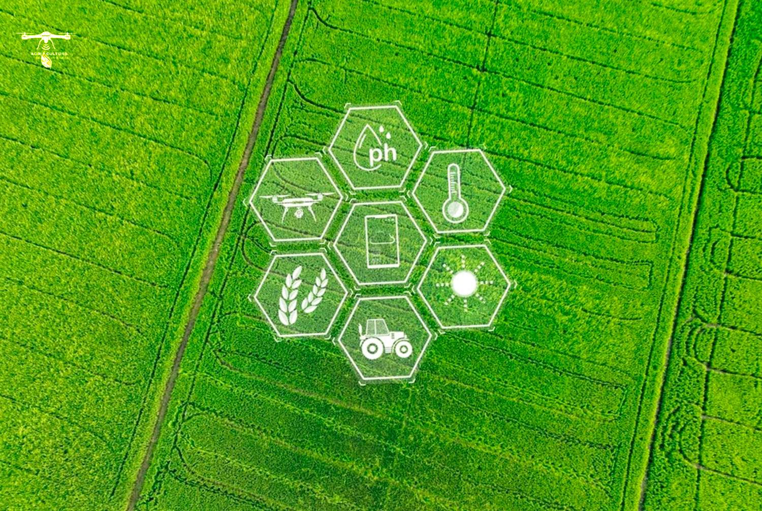 Resultados de Aplicar la Agricultura de Precisión