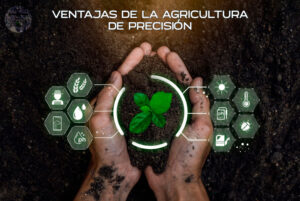 ventajas de la agricultura de la precisión