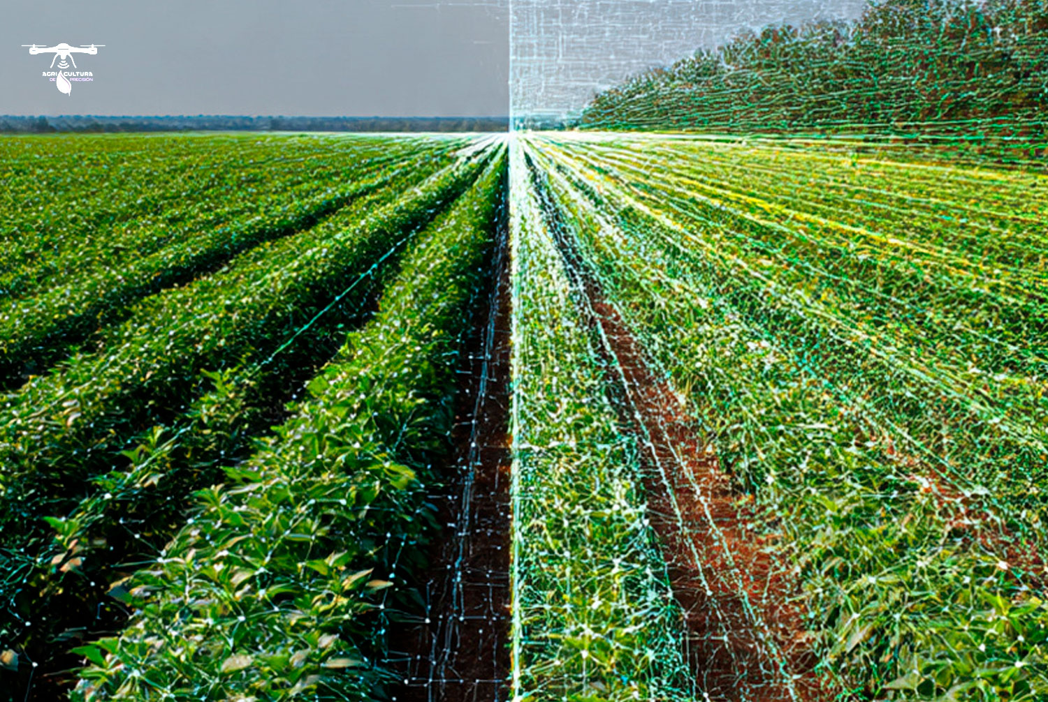 Detecci贸n y Seguimiento de Objetos en Agricultura de Precisi贸n