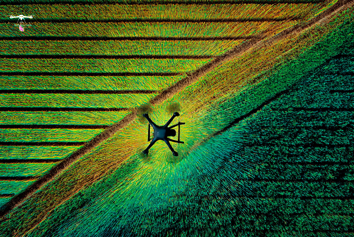 Estimación del Índice de Área Foliar con LiDAR en Agricultura de Precisión