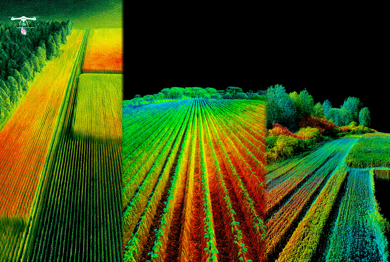 LiDAR para Fenotipos de Plantas en Agricultura de Precisión