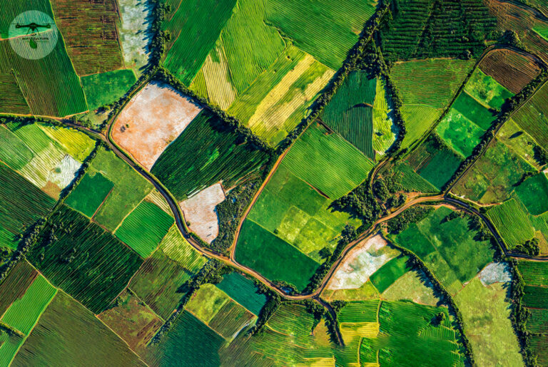 Observación Satelital en Agricultura de Precisión